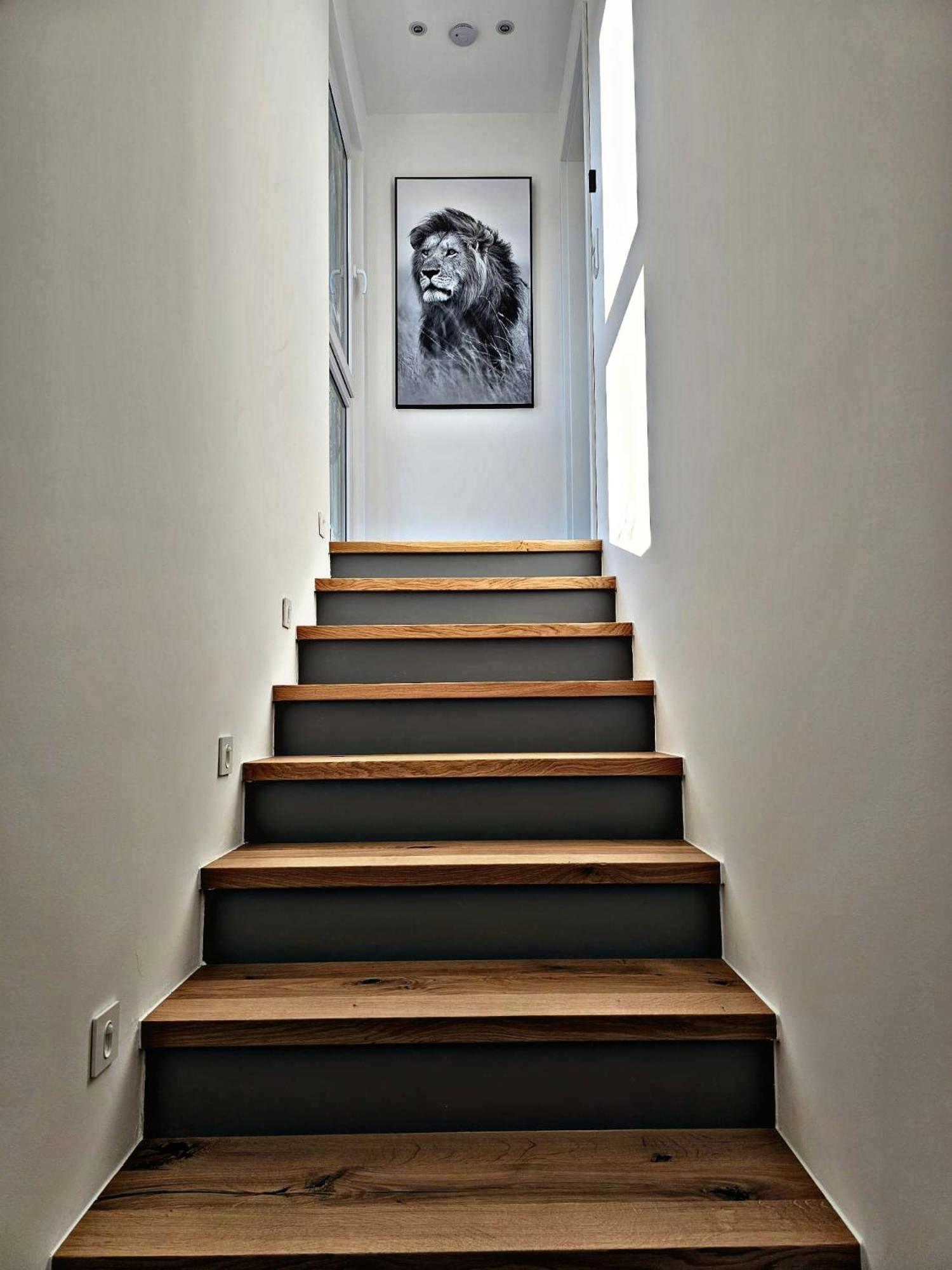 Lions Place Premium Apartments Comfort Optionaler Zugang Zum Spa- Bereich Heidenheim an der Brenz Exterior photo